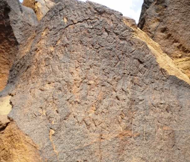 الشرعي سحار 25